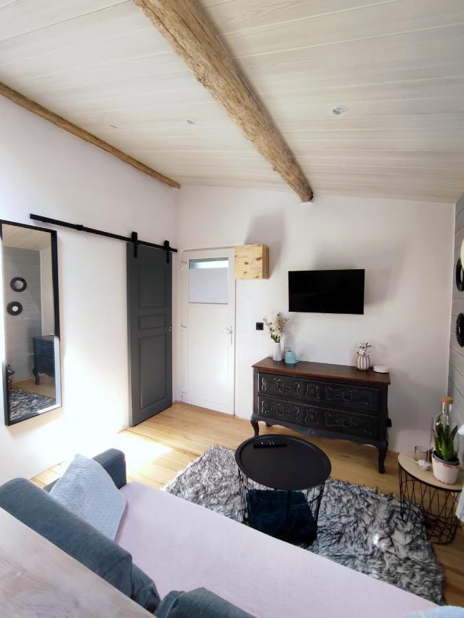 Appartement Lila Carcassonne Zewnętrze zdjęcie